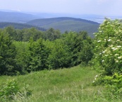 Die herrliche Landschaft der Rhoen