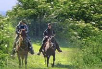 Westernreiten in der Rhoen